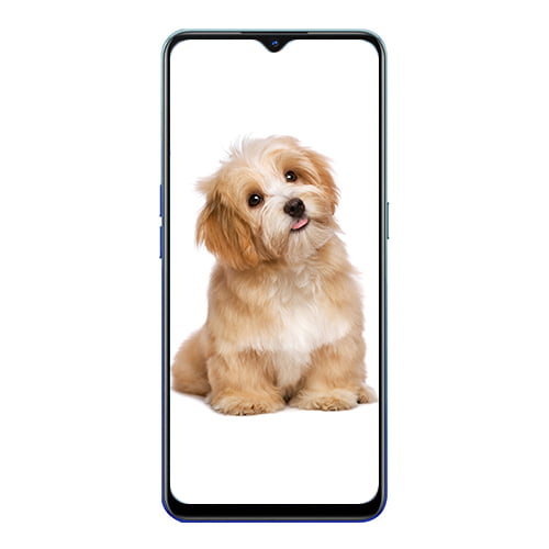 OPPO Reno 3 front Display
