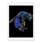 Apple-iPad-10.2-1 (1) Apple iPad 7 Front Display