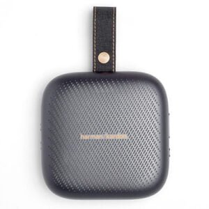 Harman Kardon Neo Front Gray