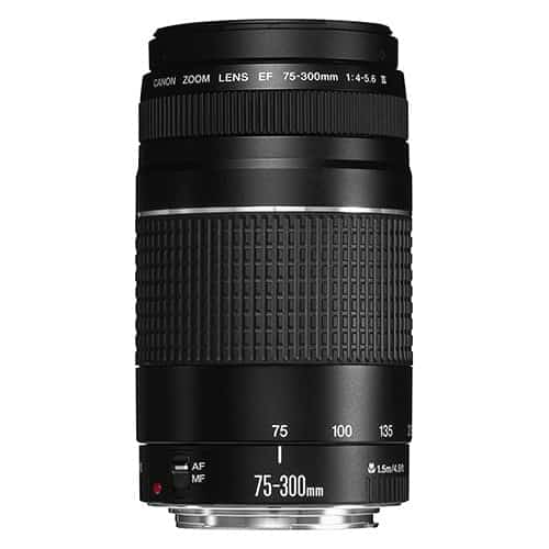 Canon EF 75-300mm f/4.0-5.6 III Telephoto Zoom Lens
