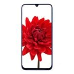Samsung Galaxy M31 Display