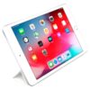 iPad Mini 5 white