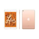 iPad Mini 5 Gold