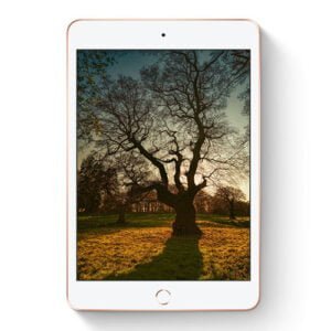 iPad mini 5