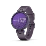 Garmin Lily Price